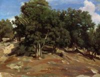 Corot, Jean-Baptiste-Camille - Fontainebleau - Black Oaks of Bas-Breau